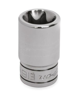 FLE160A  Skt Torx E16