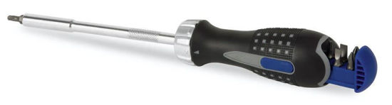 Blue-Point - BSGDMR6 - Ratcheting Standard Screwdriver with 6 Bits